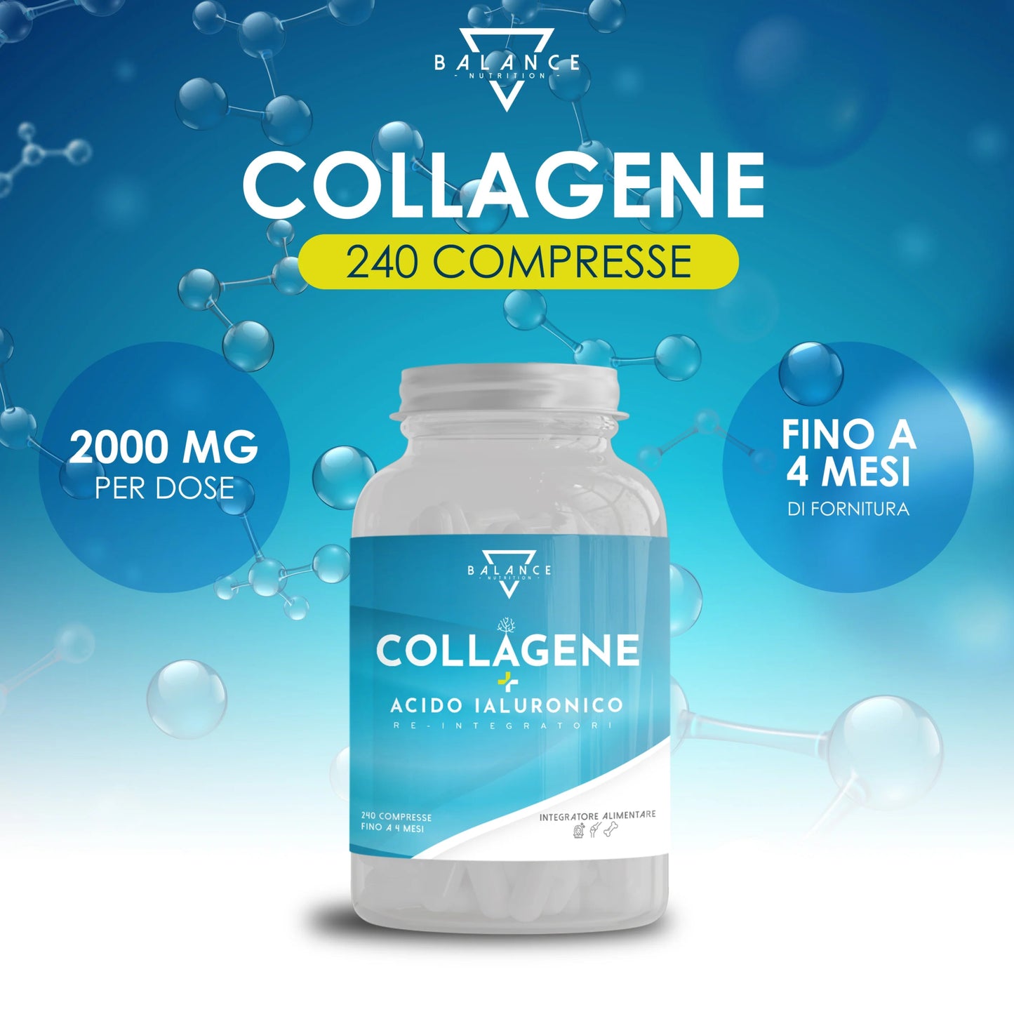 
                  
                    Percorso Bovino Pelle 3 Mesi - Balance Nutrition
                  
                