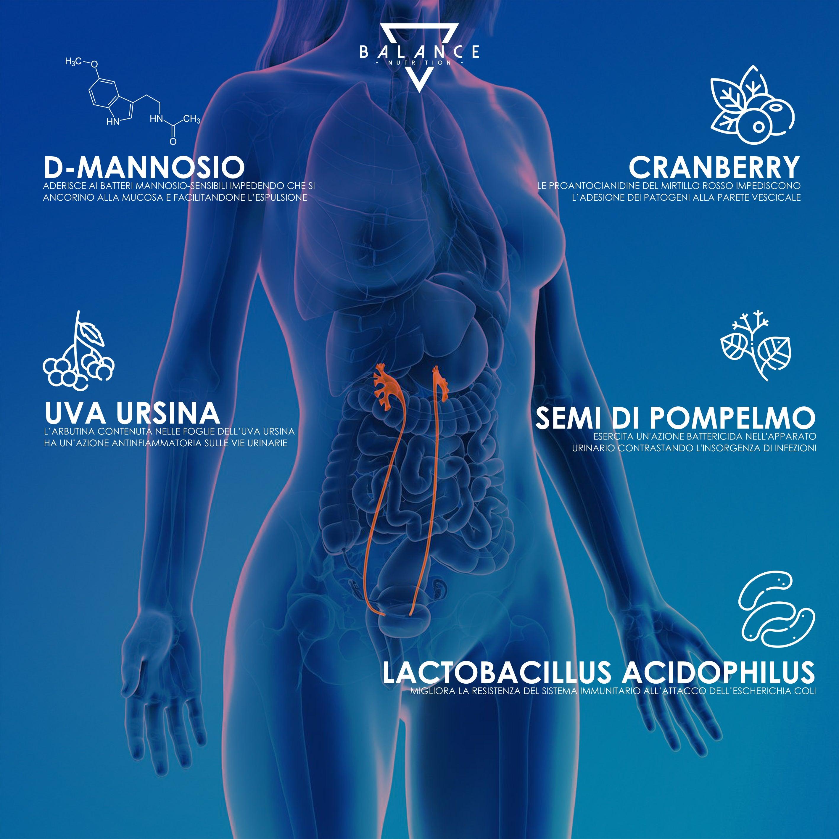 CYSTIDOL™ - Integratore per Cistite, Candida e Infezioni delle vie Urinarie - Balance Nutrition